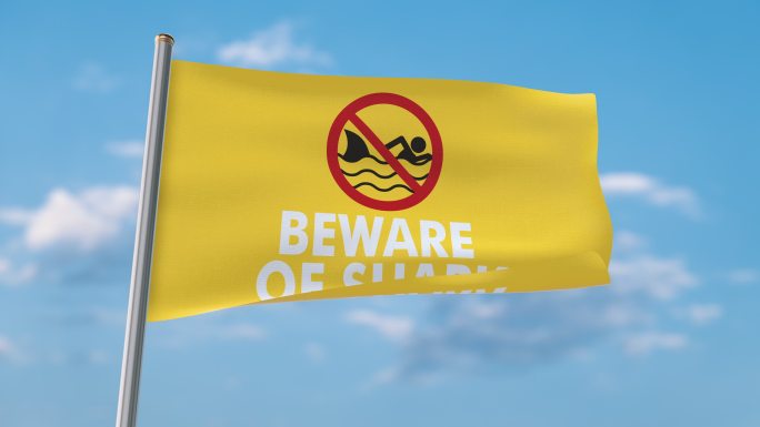 当心鲨鱼挥舞的旗帜（包括luma matte，以便您可以设置自己的背景）