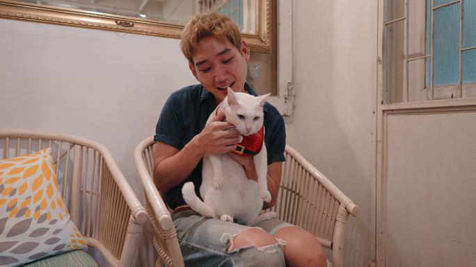 男人抱着猫男人抱着猫宠物