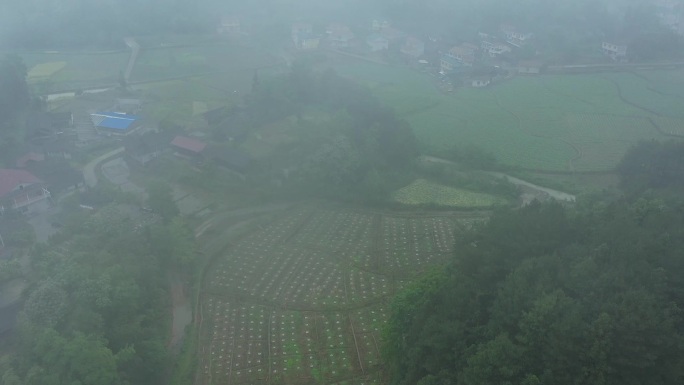 航拍烟雨缥缈的山村