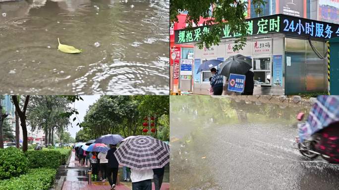 雨中核酸