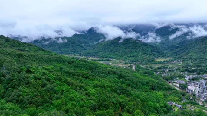 大美山村4k