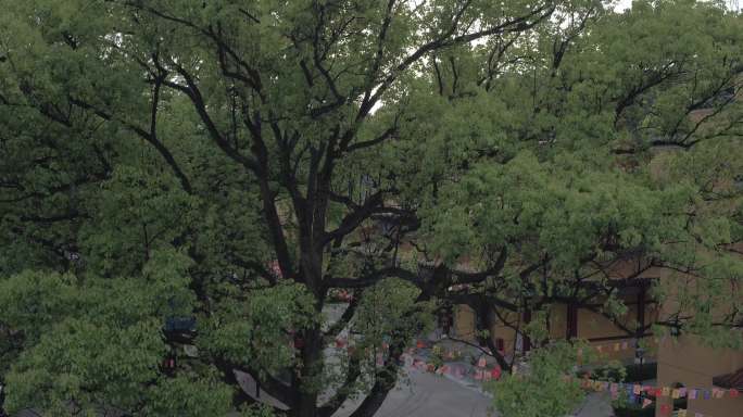 镇江绍隆禅寺