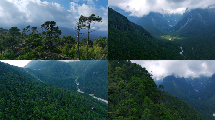 航拍大山森林深处