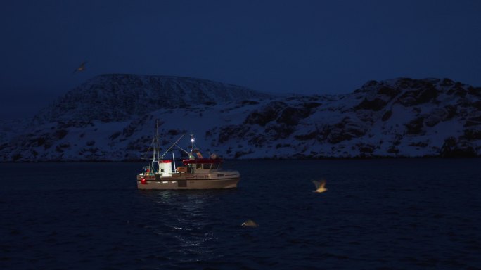 在北冰洋捕捞鳕鱼北冰洋捕捞鳕鱼海鸥飞过雪