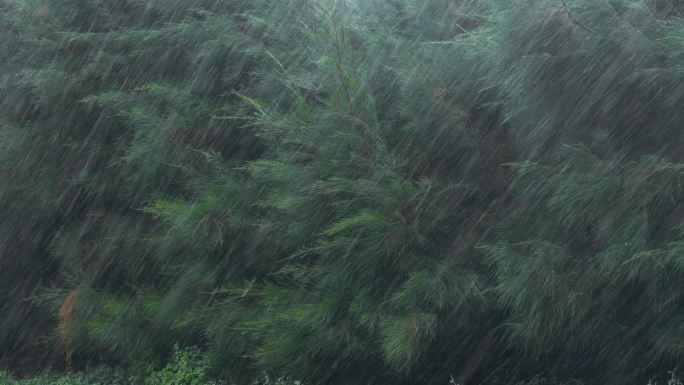 瓢泼大雨