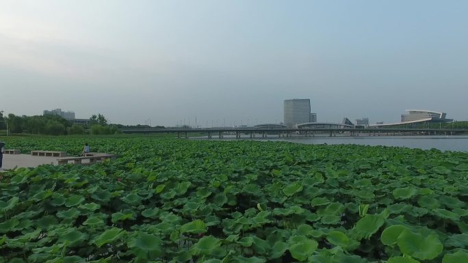 扬州明月湖公园