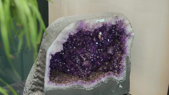 石头里的紫色晶体