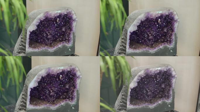 石头里的紫色晶体