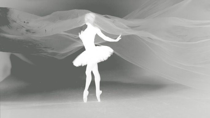 美丽的芭蕾舞演员，在细尼龙后面跳舞。动画视频效果
