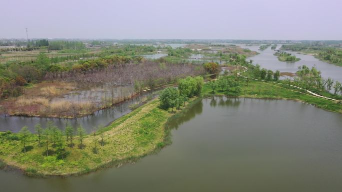 北湖湿地公园鸟岛