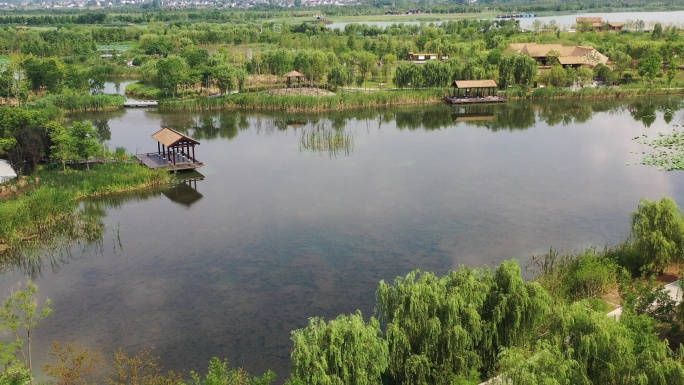 扬州北湖湿地公园柳湖