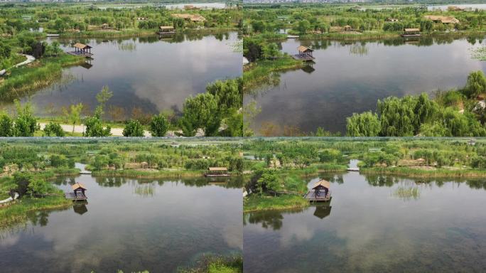 扬州北湖湿地公园柳湖