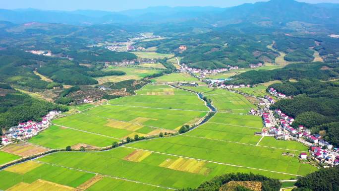 新农村建设  福建山区 农村 南方稻田