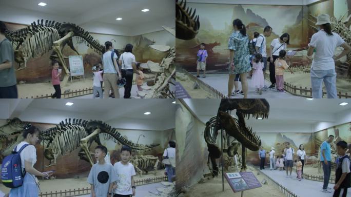 恐龙博物馆,科普基地，自然博物馆