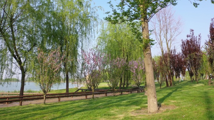 北湖湿地公园绿化