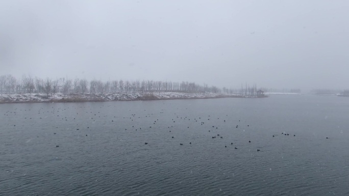 北湖湿地公园雪景