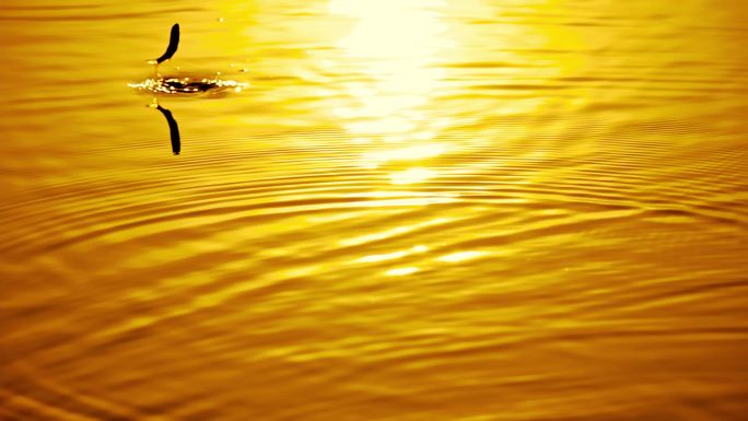 黄昏夕阳金色水面水波纹