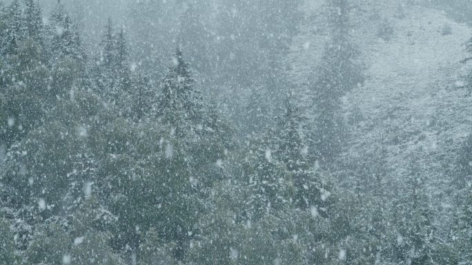 4k 高原 高山 大雪