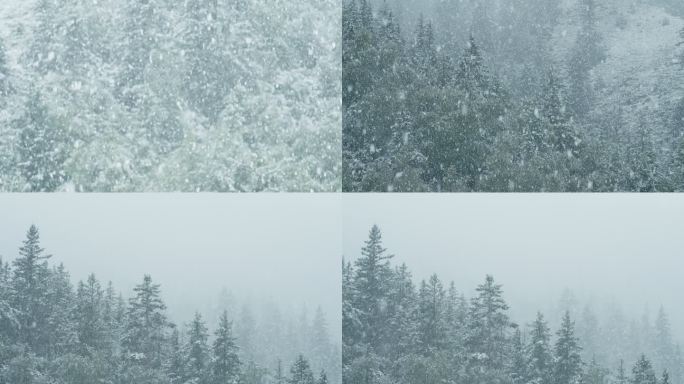 4k 高原 高山 大雪