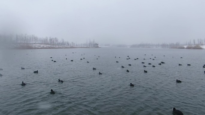 北湖湿地公园雪景