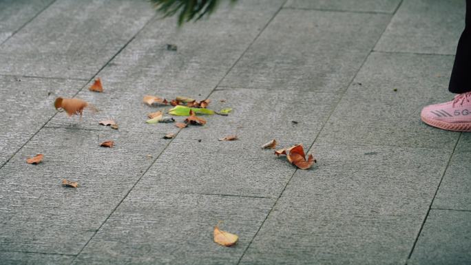 秋天初秋落叶扫地扫落叶