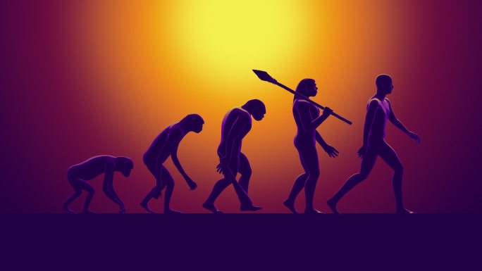 演变02考古化石达尔文石器