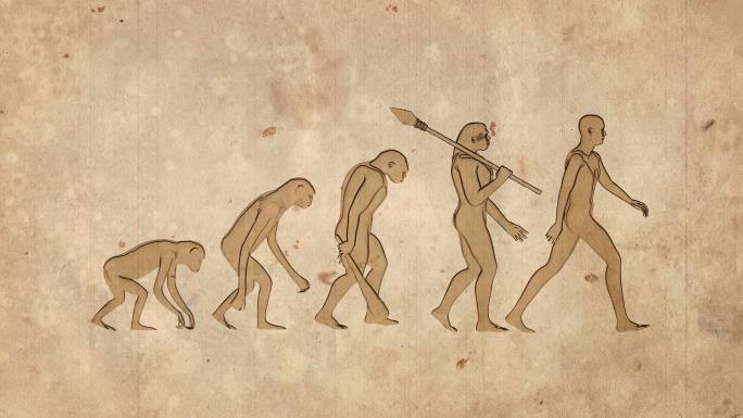 演变03达尔文进化论先人祖辈爬行到直立行