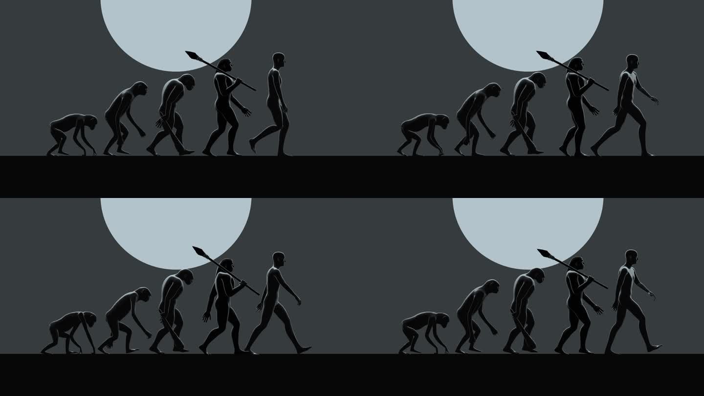 演变01达尔文进化论先人祖辈爬行到直立行