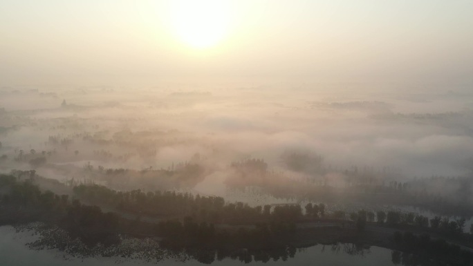 北湖湿地公园晨雾