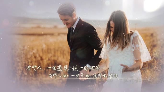 4K最美的季节遇见你-求婚MV【简约版】