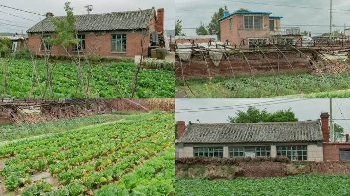 北方农村农舍院落老旧破败房屋菜地菜园