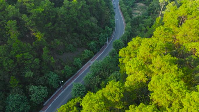 环江公路 美丽公路 乡村振兴