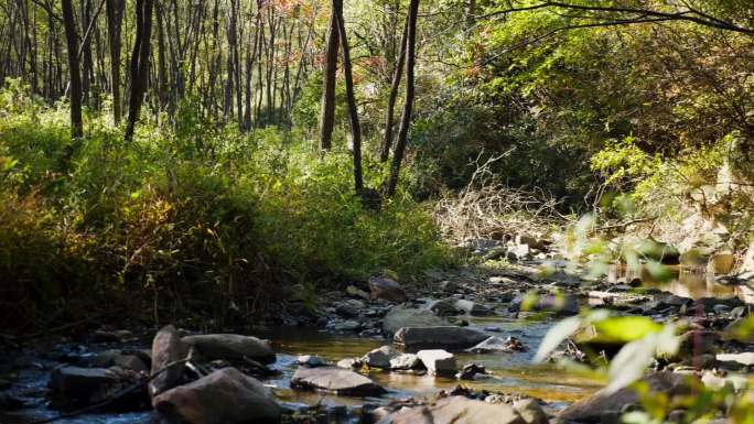 山水-延时-大山-云海-落日-田地-小溪