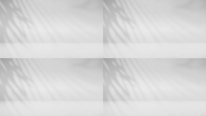 抽象和复制空间在彩色墙壁背景上用吹风特写阴影树叶的运动彩色墙壁上的阴影棕榈树叶背景库存视频（系列）