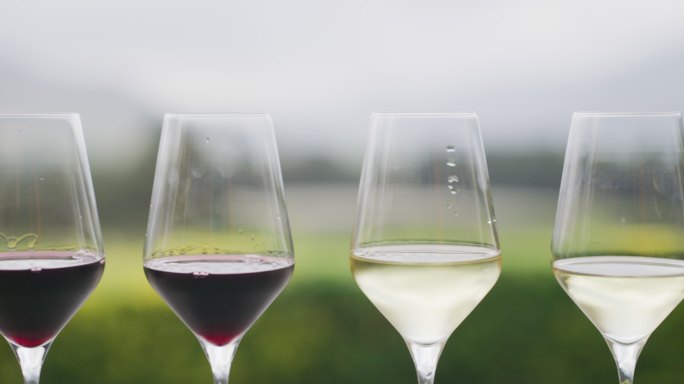 红酒和白葡萄酒在外面排队，在葡萄园或庄园品尝。喝一杯饮料或酒精饮料放松一下，让单宁和香气吞噬你的味蕾