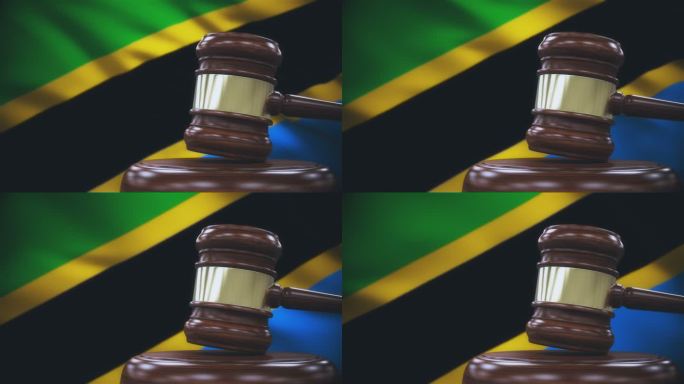 以坦桑尼亚国旗为背景的盖维尔法官