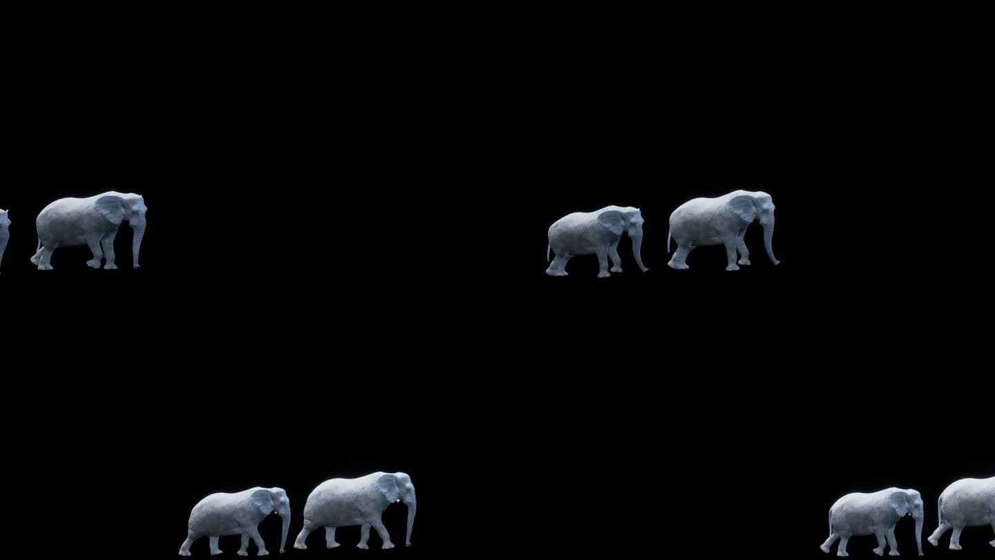 大象左至右过场-带通道