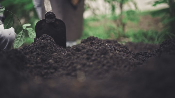 土壤准备植树造林挖土