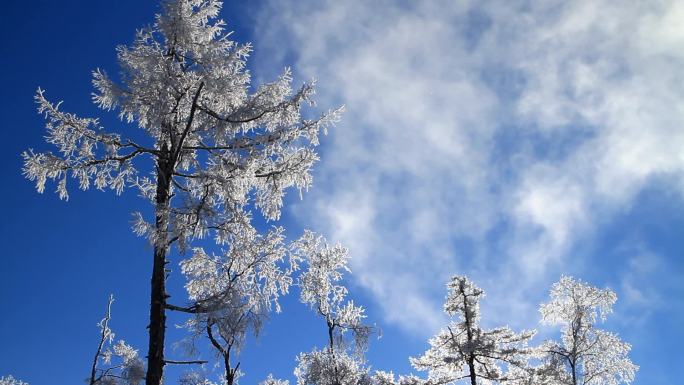 大兴安岭冬季雪林银装素裹