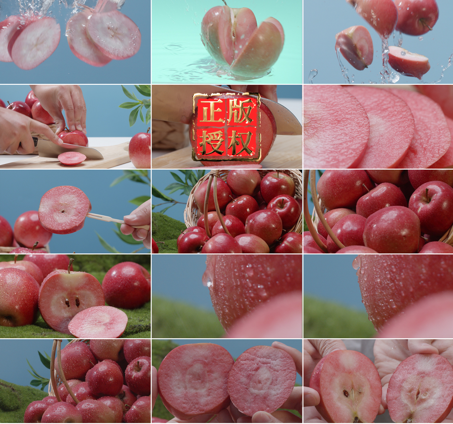 北京昌平的苹果红了，1500万公斤大丰收-千龙网·中国首都网