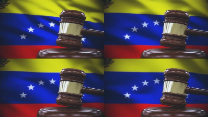 委内瑞拉国旗背景的盖维尔法官