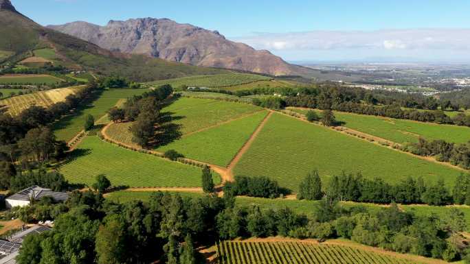南非Stellenbosch周围葡萄园的空中视频