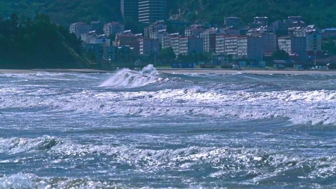 浪尖上的海鸥海浪海波浪海岸海洋