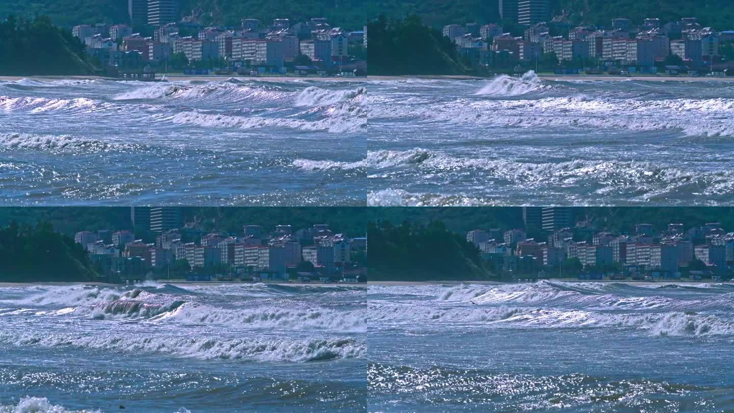 浪尖上的海鸥海浪海波浪海岸海洋