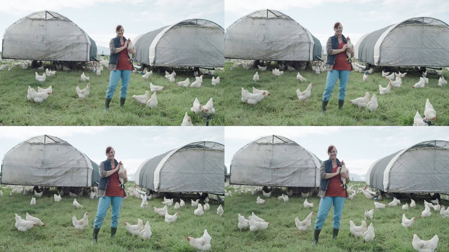 快乐的白人妇女在一个牧场乡村农场里牵着公鸡或公鸡。一位农民站在田里，鸡在她周围吃草的肖像