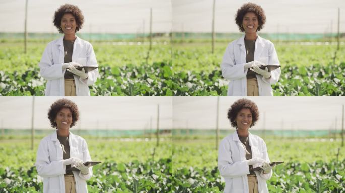 一位女科学家使用数字平板电脑检查作物生长的4k视频片段