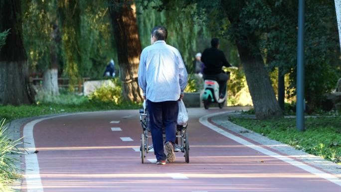 老人推轮椅公园散步