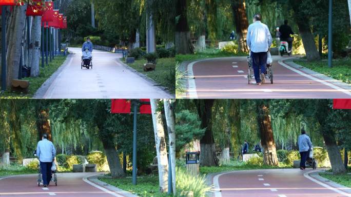 老人推轮椅公园散步