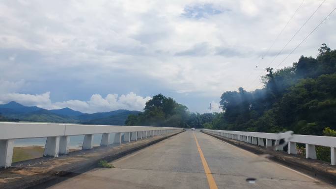 从汽车上看到桥上的道路和绿色植物