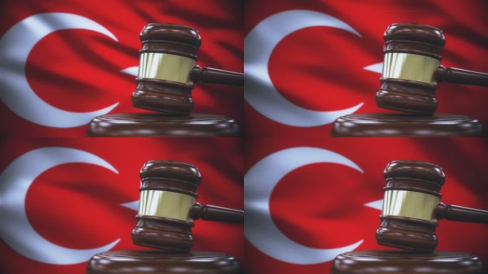 盖维尔法官以土耳其国旗为背景